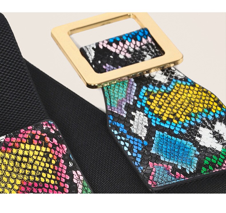 Snake Print Corset Belt
