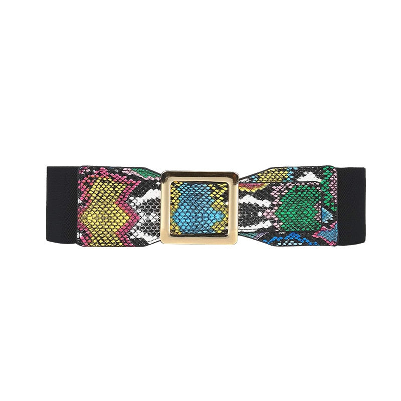Snake Print Corset Belt