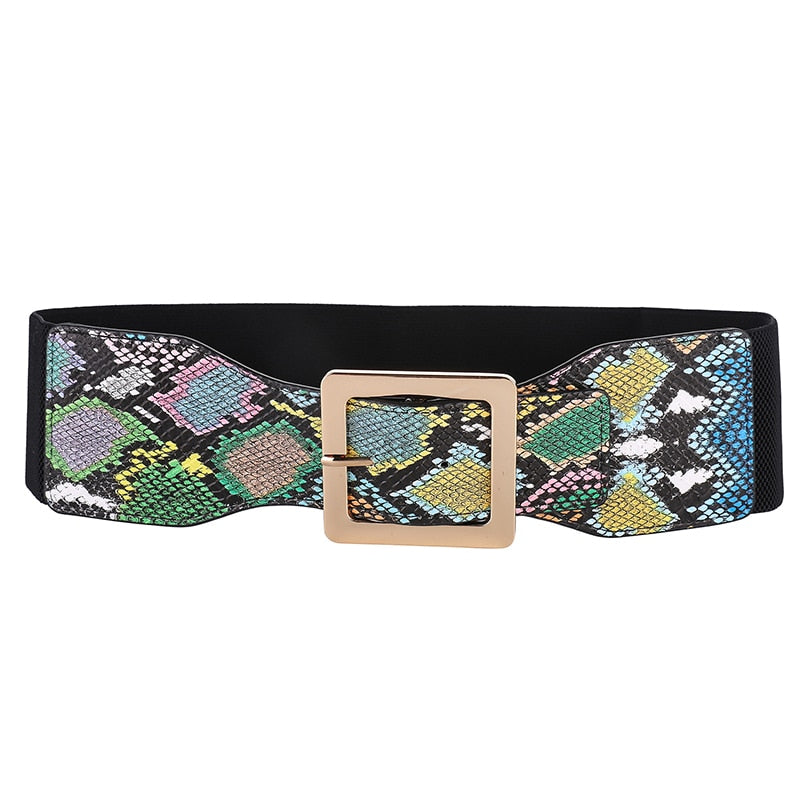 Snake Print Corset Belt