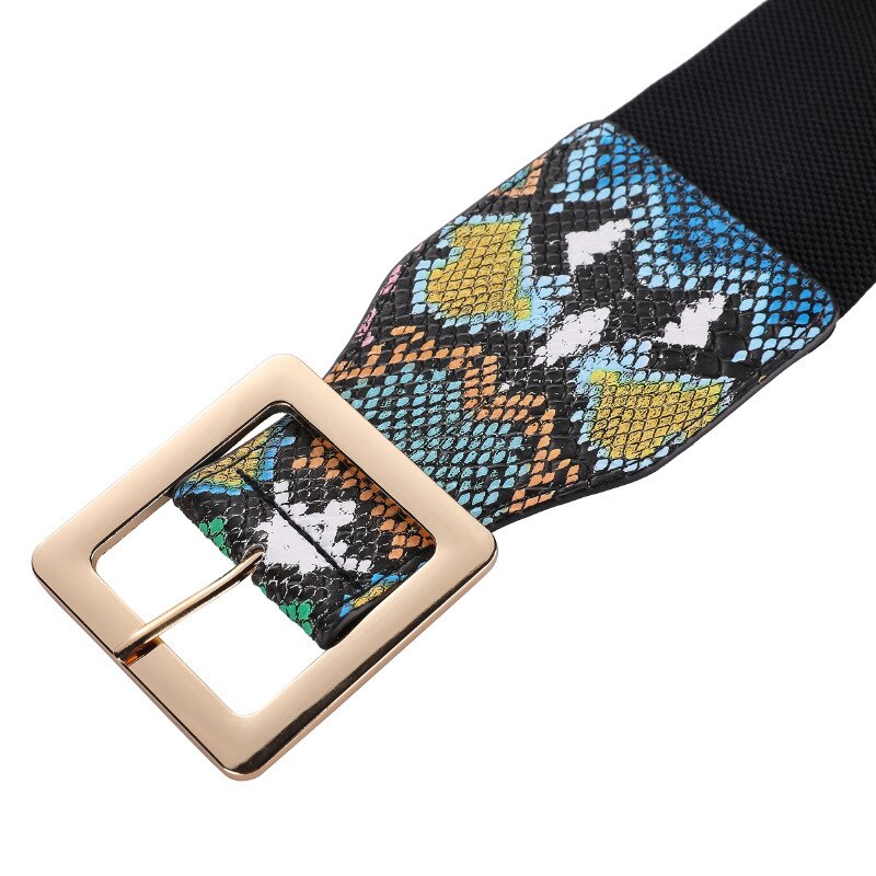 Snake Print Corset Belt