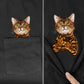 Cat T Shirt